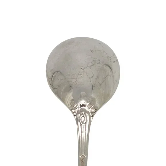 Tiffany & Co Audubon Sterling Silver Iced Tea Spoon 7 3/8 #23102
